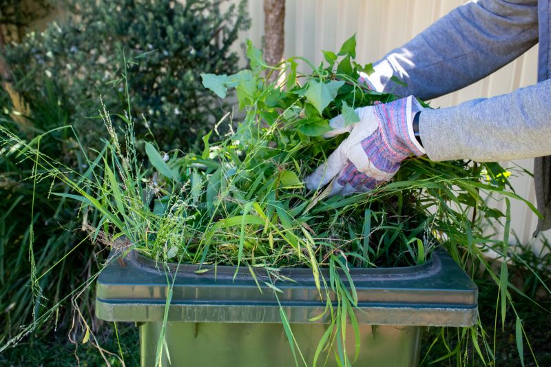Garden Cleaning