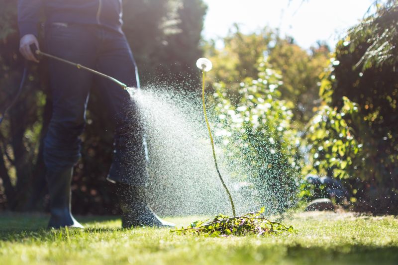 Garden Cleaning