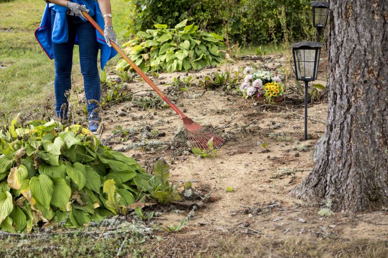 Garden Cleaning