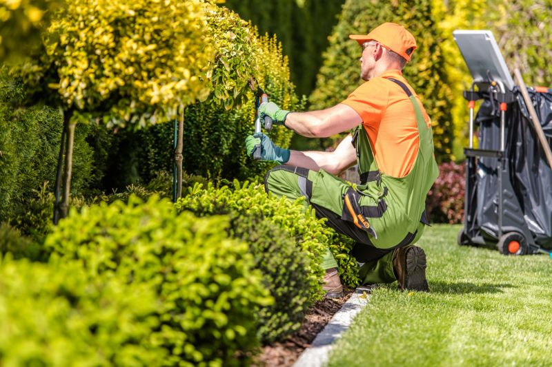 Garden Maintenance Specialists