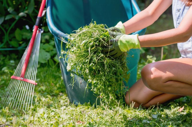 Contact About Garden Cleaning